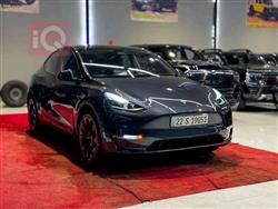 تسلا موديل Y